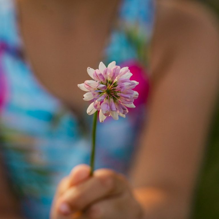 Selbstwirksamkeit und Kreativität Kinderhände gestalten gemeinsam eine bunte kreative Arbeit